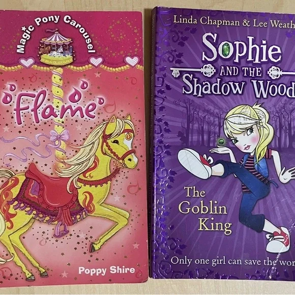 11 books for primary age children- Ballet, horses, fairies - Picture 4 of 6